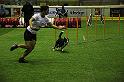 IMG_4587