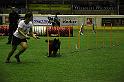 IMG_4588