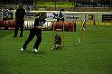 IMG_4589