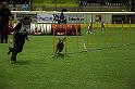 IMG_4591