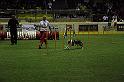 IMG_4631