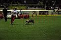 IMG_4633
