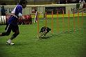 IMG_4665