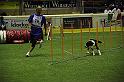 IMG_4667