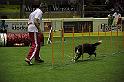 IMG_4676