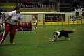 IMG_4730