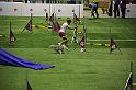IMG_4865