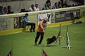 IMG_5035