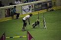 IMG_5095
