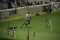 IMG_5257