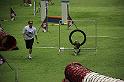 IMG_5271