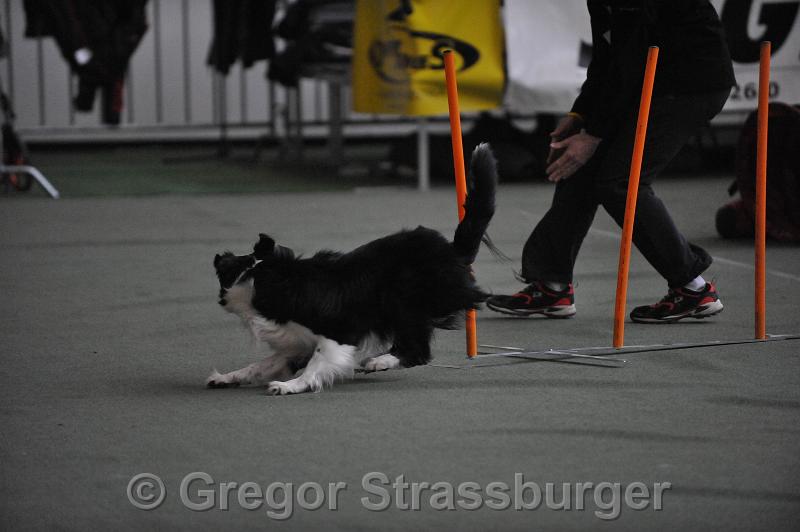 GRS_6469.JPG - Wintercup Austria Dornbirn 12. Dezember 2009