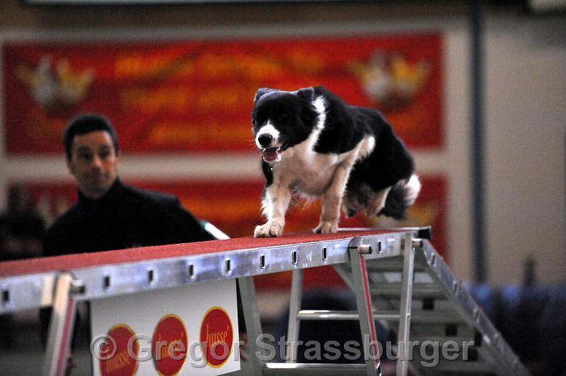 GRS_6767.jpg - Wintercup Austria Dornbirn 12. Dezember 2009