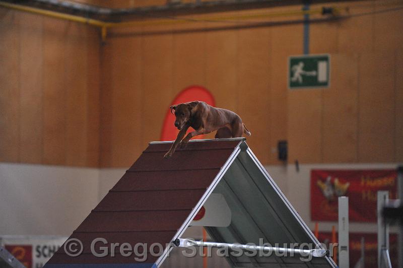 GRS_7119.JPG - Wintercup Austria 13. Dezember 2009