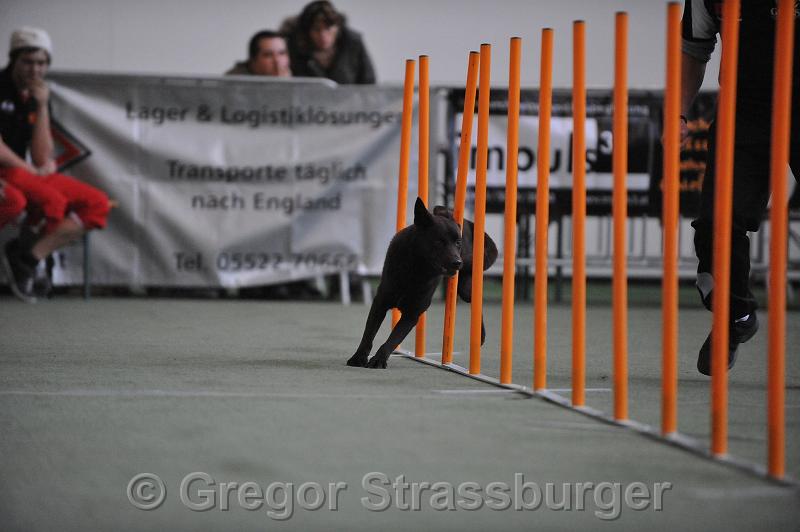 GRS_7515.JPG - Wintercup Austria 13. Dezember 2009