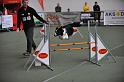 GRS_6475