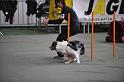 GRS_6519