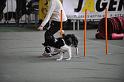 GRS_6527