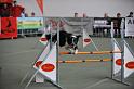 GRS_6688