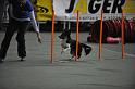 GRS_6784