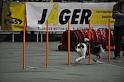 GRS_6803