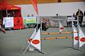 GRS_6882
