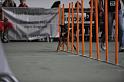 GRS_7108
