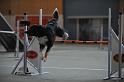 GRS_7340