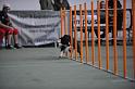 GRS_7342
