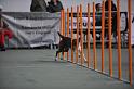 GRS_7381