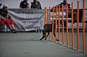 GRS_7527