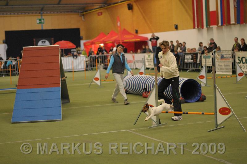 DSC_0343.JPG