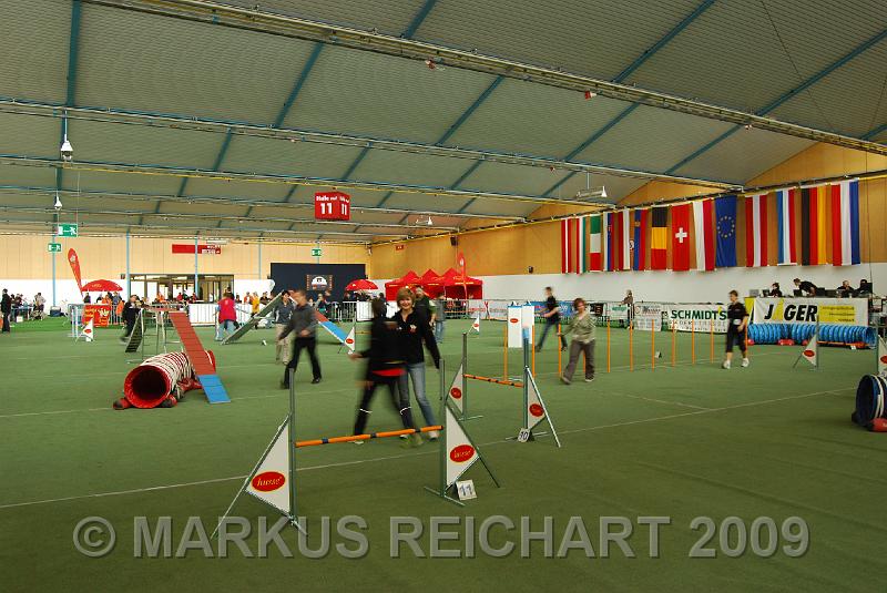 DSC_0982.JPG