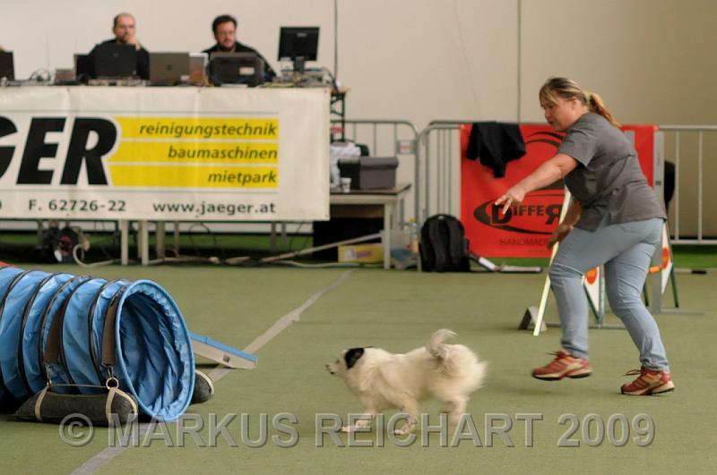DSC_9287.jpg