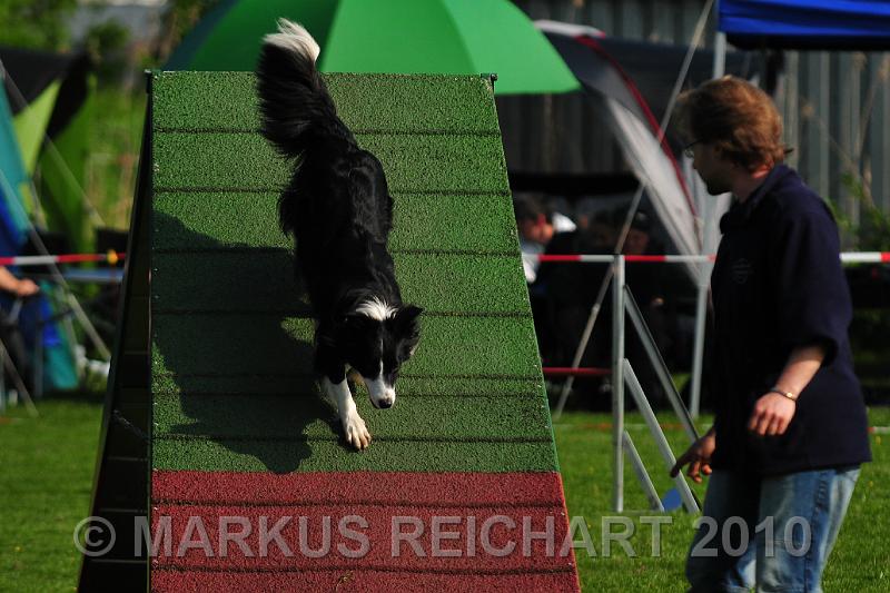 DSC_7867.jpg