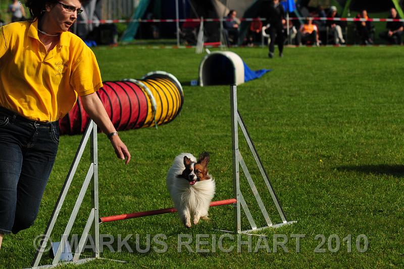 DSC_7868.jpg