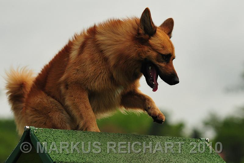 DSC_7887.jpg