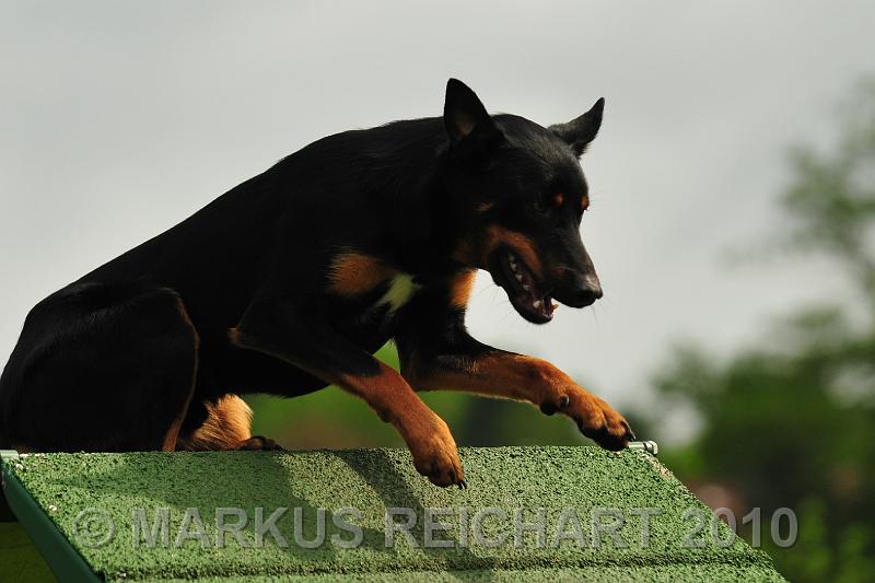 DSC_7894.jpg