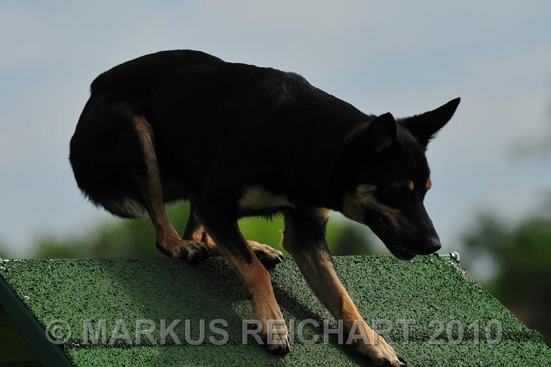 DSC_7930.jpg