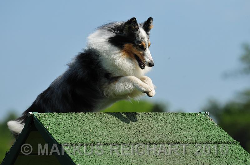 DSC_7988.JPG