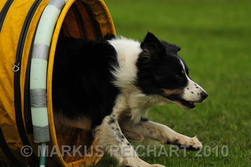 DSC_8204.jpg