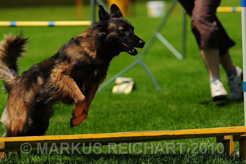 DSC_8360.jpg