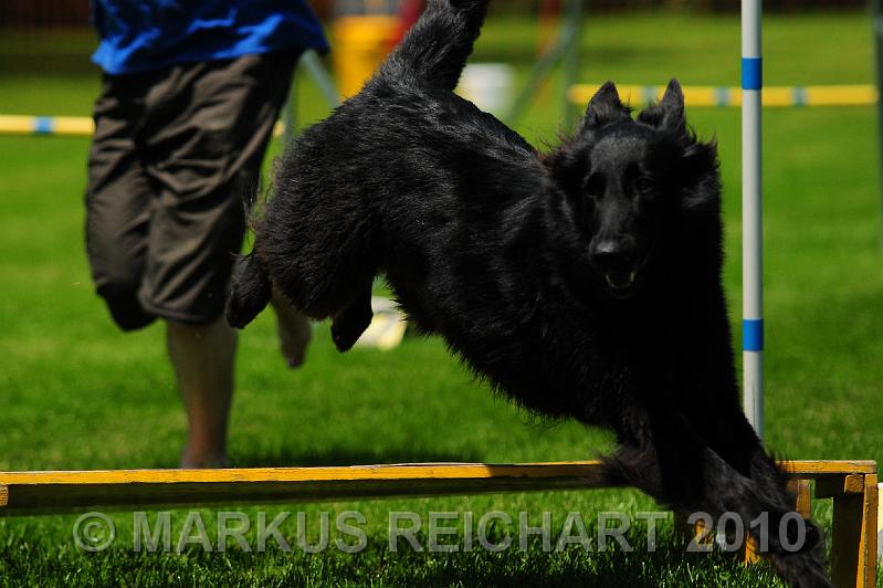 DSC_8368.jpg