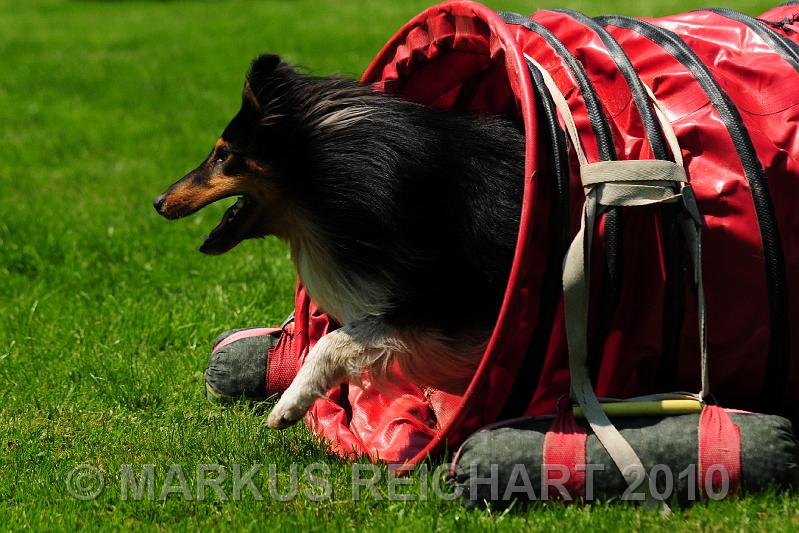 DSC_8380.jpg