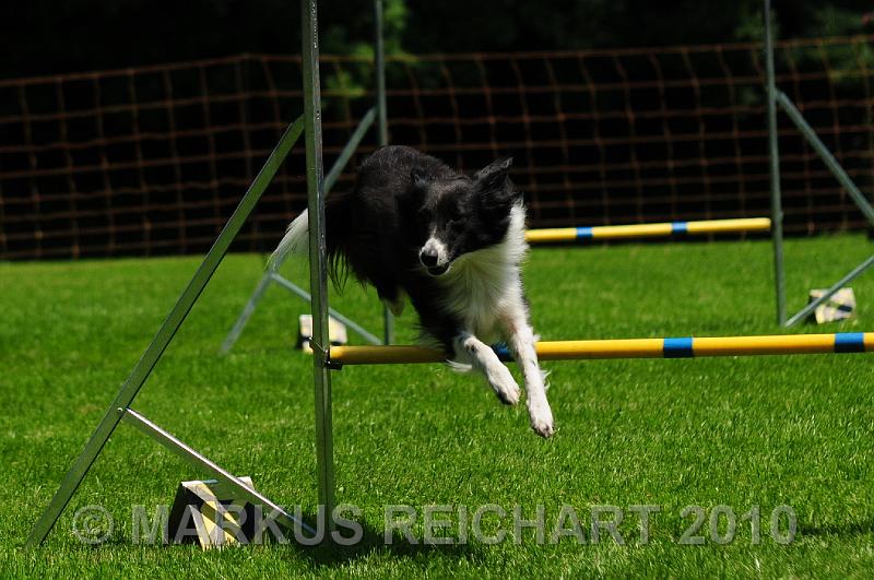DSC_8416.jpg