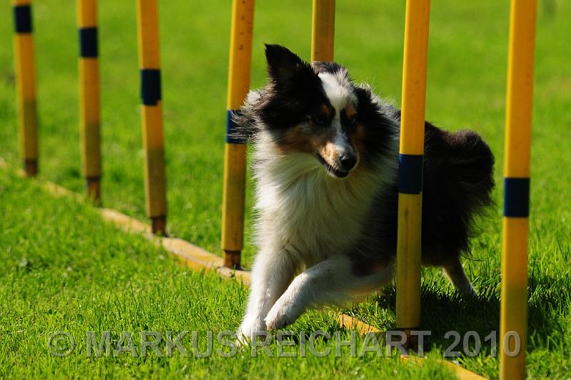 DSC_8609.jpg