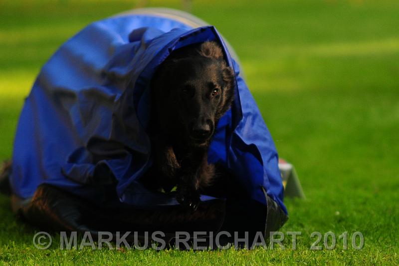DSC_8643.jpg