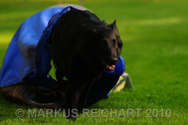 DSC_8644.jpg