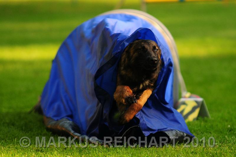 DSC_8649.jpg