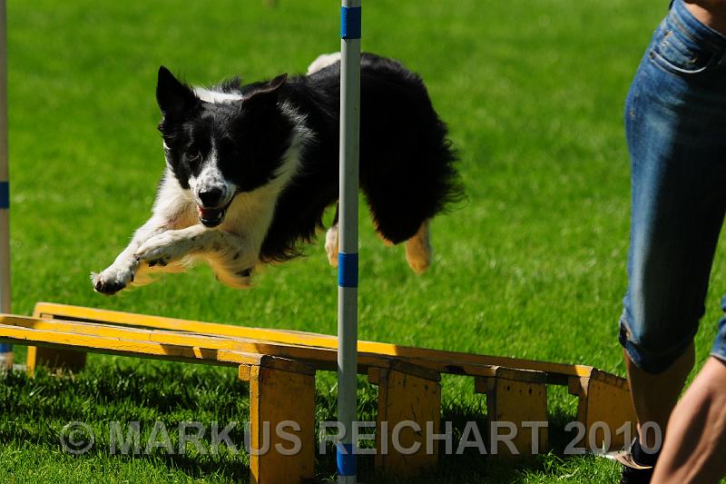 DSC_8841.jpg